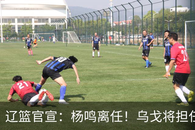 辽篮官宣：杨鸣离任！乌戈将担任辽宁男篮主帅